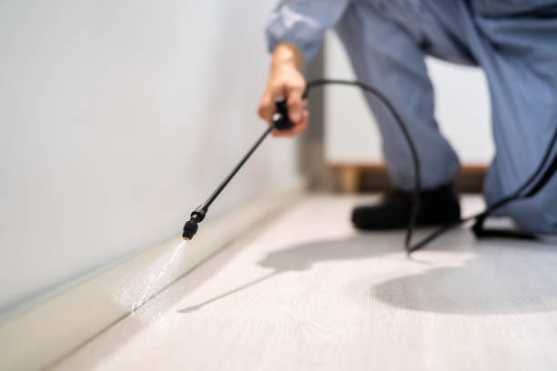 Bed Bug Pre-Treatment Preparation Assessment in Red Lake