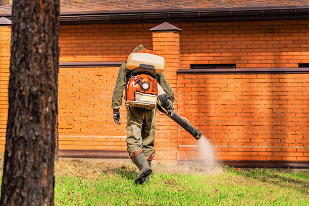 Bed Bug Clearance Verification and Documentation in Red Lake
